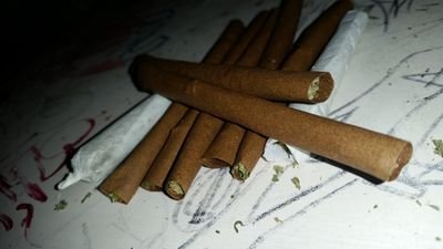 All about weed, Stoners Are Visionaries. All pictures tooken by @WTFxItzSquiky & @Mr_Gaytan