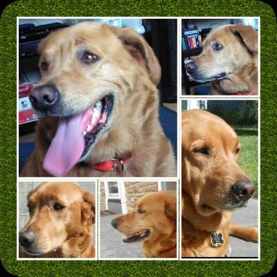 BudStewartN0KBS's profile picture. 