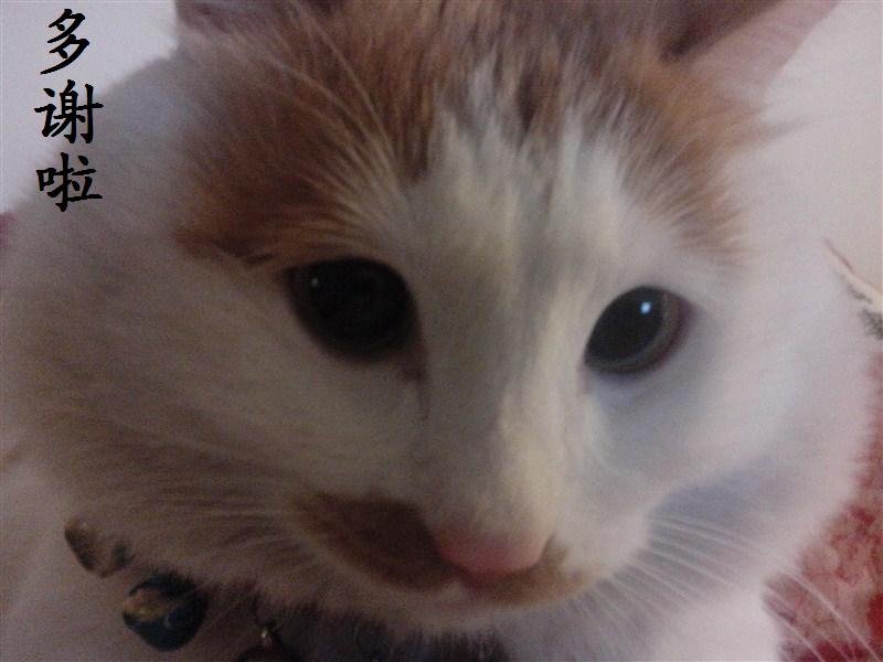 atreeofemerald's profile picture. 经意不留心，明镜不曾染。