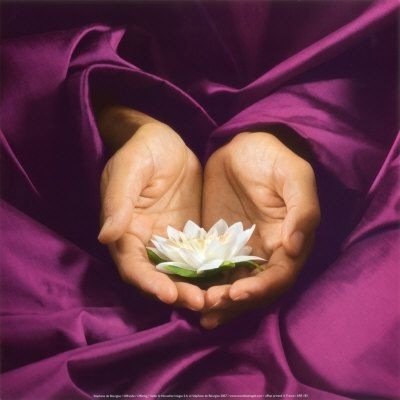 wow_72's profile picture. تذكر ان الالم يغير الناس ولهذا لا تؤلمهم اذا لم تريدهم ان يتغيروا