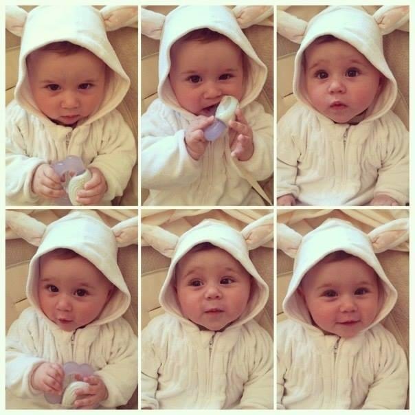 dDinaIrshaid's profile picture. ..