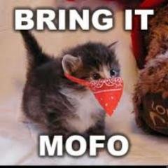 mofoads's profile picture. Stupid silly name but serious free classified ads. List anything and everything here free!