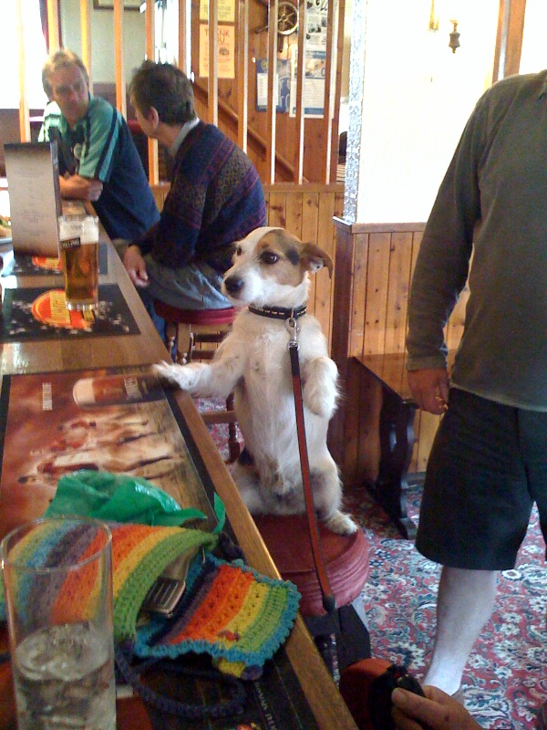 1giga1's profile picture. 