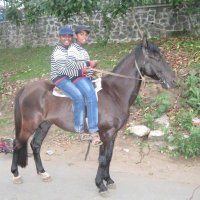 subhash (@subhashprem) 's Twitter Profile