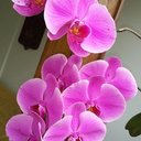 ROSA ORTEZ - @arguetaortez - Twitter