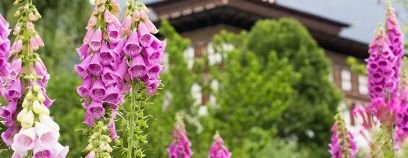Working at Gado Tours and Travels here in Bhutan.