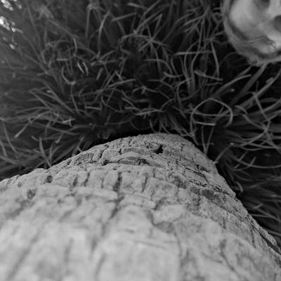 Sternist's profile picture. Life, the universe, and everything.            insta: Sternist