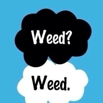 gabyysmobbin's profile picture. 