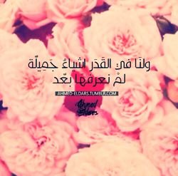 وظني فيك ياربي جميل