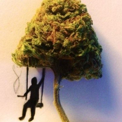 One Love. Follow @SlowStoners for the best weed tweets! #SlowStoner #StonerNation #StonerFam #Drugfamily