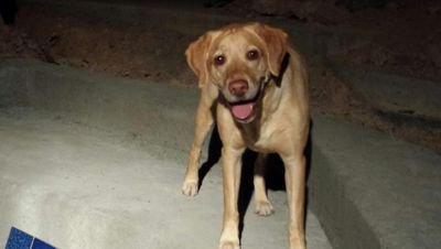 ztime77_JR's profile picture. 