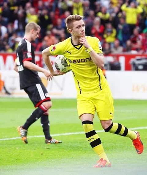 _Nicolas_Pinto's profile picture. 