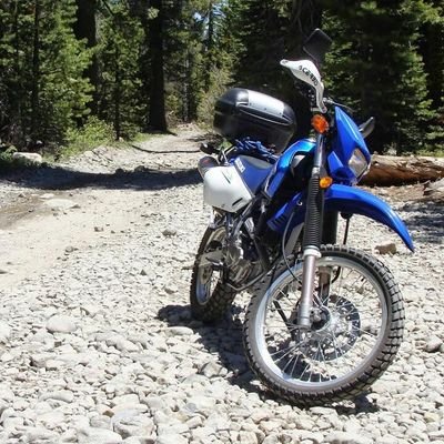 grlonn's profile picture. 