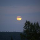 June Peacock - @juniemoonbeam - Twitter