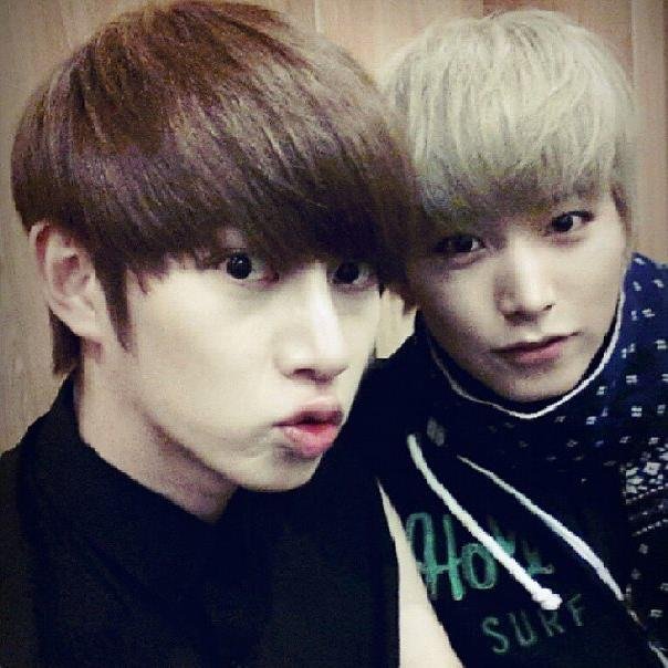 BiuminSJ's profile picture. VELF ♥ 슈퍼주니어