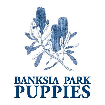 Banksia puppy store farm