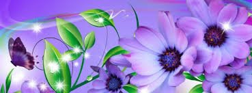 if you follow me i will follow you back as soon 100%