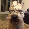 sabema11's profile picture. Am I done being sassy? No.