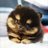 TheerapongW's profile image