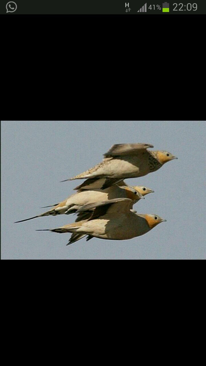 محب للطبيعه..