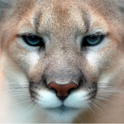 AticaNess's profile picture. 