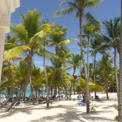 greenward12's profile picture. love buckeyes, nascar,Steelers, beach, family friends and finding my true worth and self.