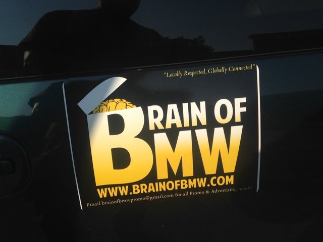 Brainofbmwbree Profile Picture