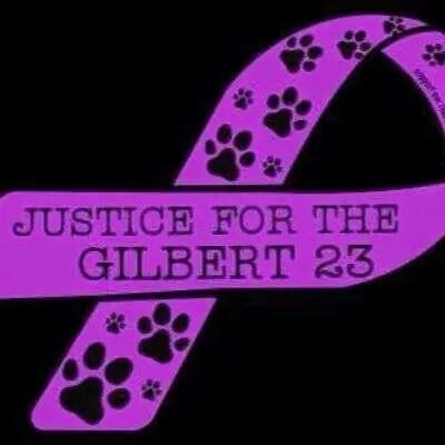 azlegaleagle's profile picture. Love animals, sports & music!!  Avon Unit Leader, National Recruiter & ISR