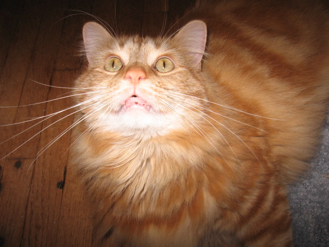 kirkb23's profile picture. 