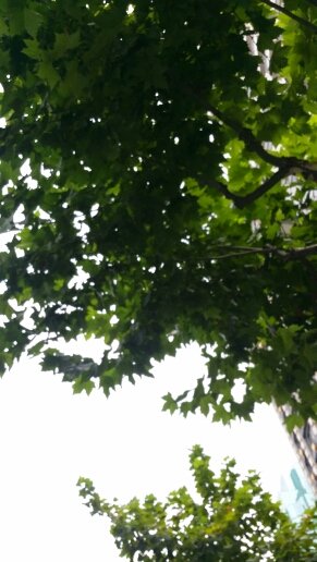 idl00837oc's profile picture. 