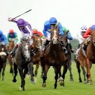 We are letting you know of all the free bets the bookies are offering.