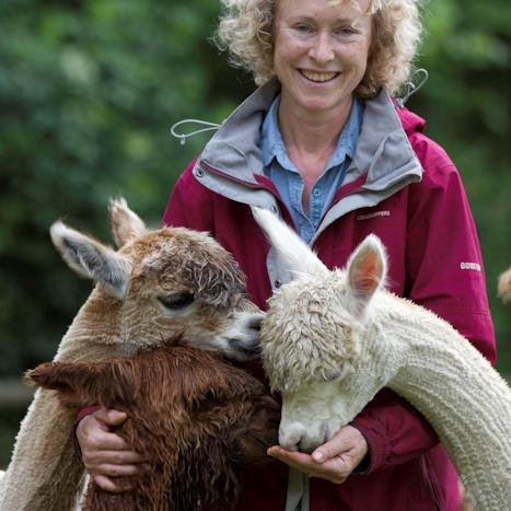 Conservation farmer, owner and trainer of friendliest alpaca herd in UK. Alpaca walking, fibre workshops and holiday let. See http://t.co/17hpehZZIC