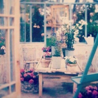 Aisha70451752's profile picture. 