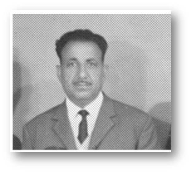 ‏حر يأبا الذلة ولا يرضى للوطن وصيا
اريد التقدم والاستقرار الاقتصادي لوطني الحبيب اليمن الحر الموحد بالعدل والمساواة والعزة