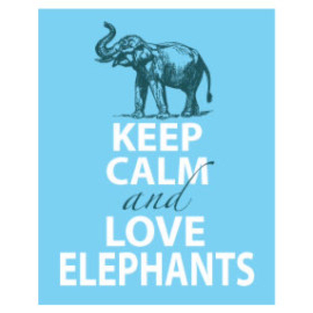 MiniElephants's profile picture. 