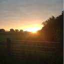 Glyn Thomas 🏴󠁧󠁢󠁷󠁬󠁳󠁿 - @thomasglyn - Twitter