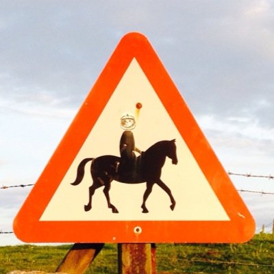 lizdoonie's profile picture. 