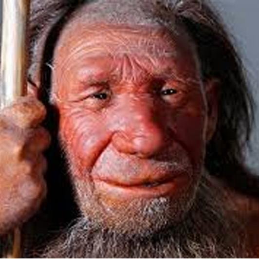 almost_sapiens's profile picture. 2.7% H. neanderthalensis. Support ideas & policies. Trust science & evidence. Admire intelligence & knowledge. Respect nature💚