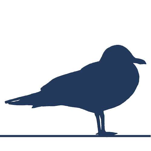 CornwallConcie's profile picture. The Concierge Guide to Cornwall.