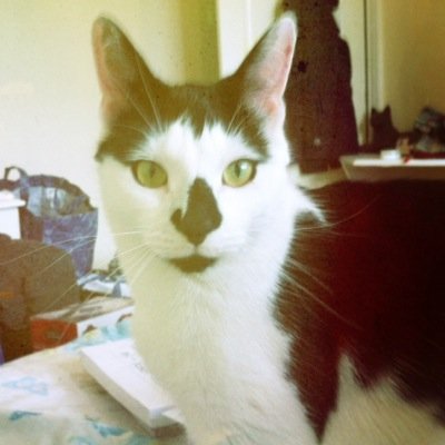 ecj368's profile picture. 