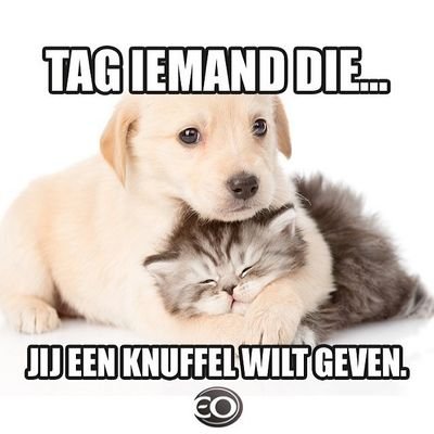 het leukste tag account van Nederland.  hier en op insta. @linkjevrienden_ op insta