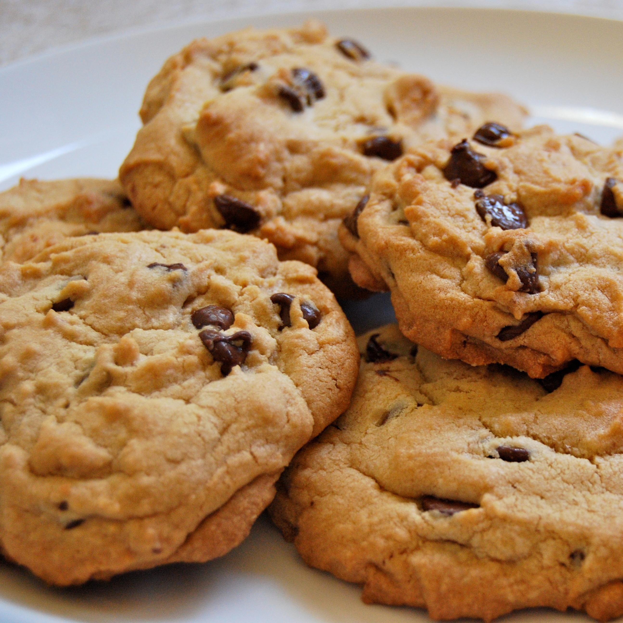 bespokebiccies's profile picture. 