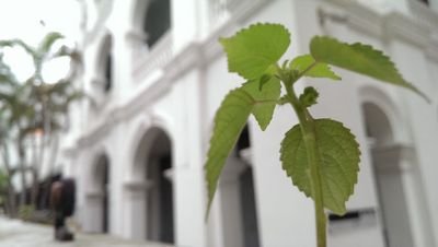 ssgsano's profile picture. Don't tell God you have a big problem.
Tell your problem you have a big God.