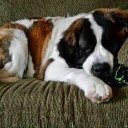 Misty Gleason - @misty_mackey - Twitter