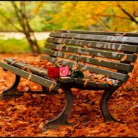 hazal can (@hazalll20) 's Twitter Profile