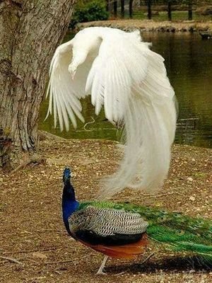 ...........cool..........
