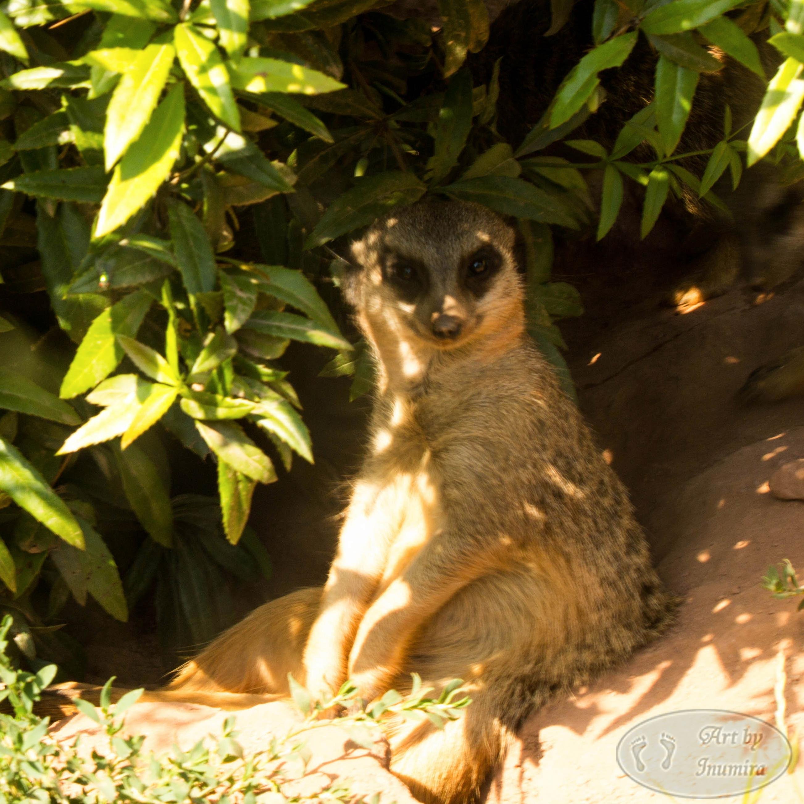 inumira's profile picture. Ich fotografiere im Moment unheimlich gern, vorallem Nachtfotografie hat es mir angetan. Hauptsächlich bin ich in Halle und Franken unterwegs.