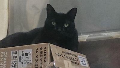 確実に会える熟年募集中です(^O^)