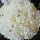 Amy MARTZ - @Amylauren223 - Twitter