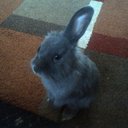 SOGxHaWkZz - @DanielAston3 - Twitter